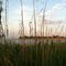Lake Somerville