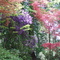 Lakewold Gardens, May 2007.