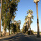 Kearney Blvd