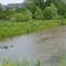 Savage - South Park pond