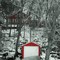 Cabin on Prior Lake