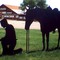 Silhouette Sculpture East of I-25 Exit 128