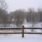 Snow Day Fountain, Colorado