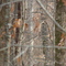 Hardwoods of Crowley's Ridge