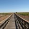 Walking Bridge