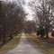 "The Oaks" Plantation Drive Way