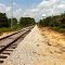 Tracks near South Carolina Railroad Museum August 2013