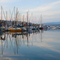 Friday Harbor Reflections