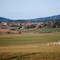 Farmland in San Juan Valley, at the center of San Juan Island