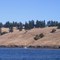 Spieden Island, San Juan Islands, WA.