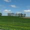 US 20 near Freeport IL