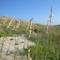 Nags Head Outer Banks