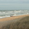 OBX North Carolina