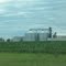 Silos near Fergus Falls