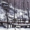 Charlston Falls Jan 1985