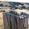 Abandoned Fence Post