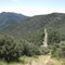 Huachuca Ridgeline