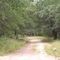 Huachuca Canyon