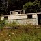 Love Shack