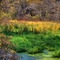 Colorful Autumn Pond along the Sugar River Bike Path,  WI