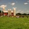 dairy farm, near Albany, Wisconsin, july 1974
