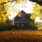 Old Homested -Grace Rd
