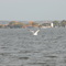 Fond du Lac from Lake Winnebago