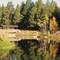 Forest Highlands Covered Bridge