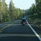 Arizona 88A road, between Flagstaff and Sedona, Arizona, USA