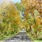 Rustic Road 72