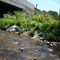 Race Track Road Patuxent Branch