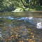 Patuxent River