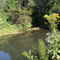 Patuxent River