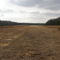 Field