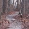Path Around Lake Marion