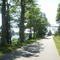 Cape Cod Canal Path.