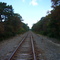 Cape Cod, railroad near Cape Cod Canal (10.08.2008)