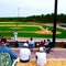 Play Ball !