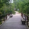 Sauk Creek Nature Preserve, Bridge over Sauk Creek