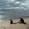 Western shore of Lake Michigan