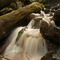 tank gulch after big storm dec 2007