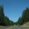 redwood hwy