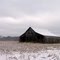 Charlotte, MI - Old Barn - S. Cochran Road
