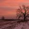 Burnett Family Farm - S. Cochran Rd - Charlotte/Olivet, MI