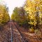 Riding the rails