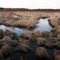 Snake Creek wetlands in April