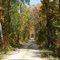 Rustic Road 22
