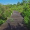 Norwegian Bay Conservancy boardwalk