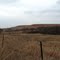 The prairie