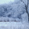 Buffalo Lake in December
